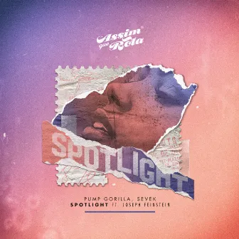 Spotlight by Pump Gorilla