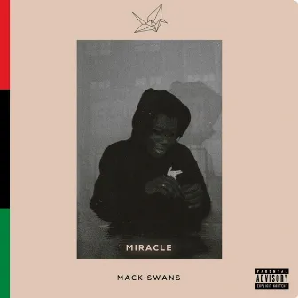 Miracle by Mack Swans