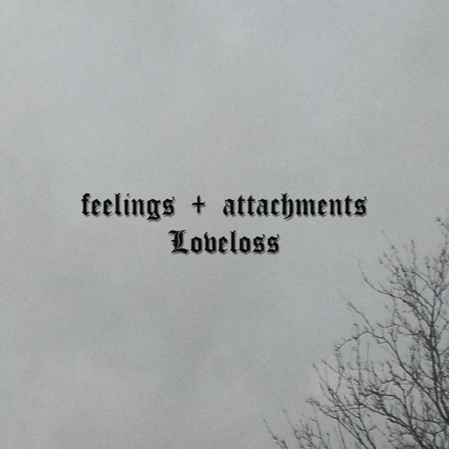 Feelings + Attachments