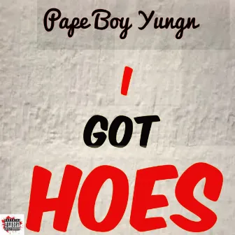 I Got Hoes by PaPe BoY Yungn