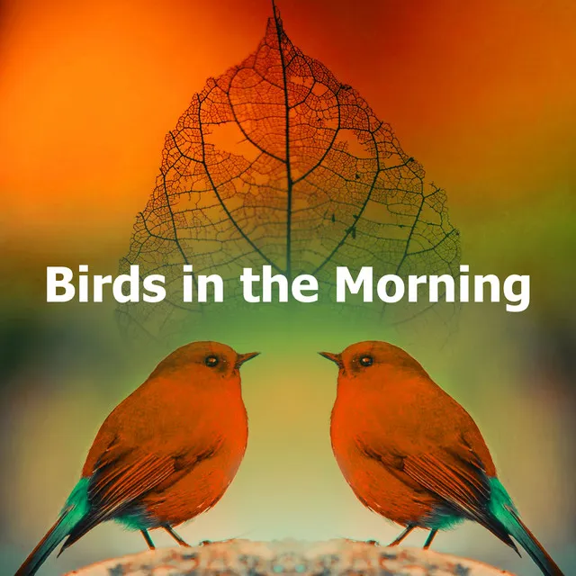 Birds in the Morning