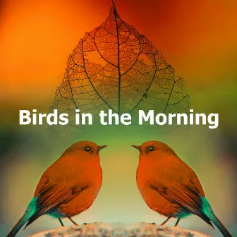 Birds in the Morning by Birdland Nature