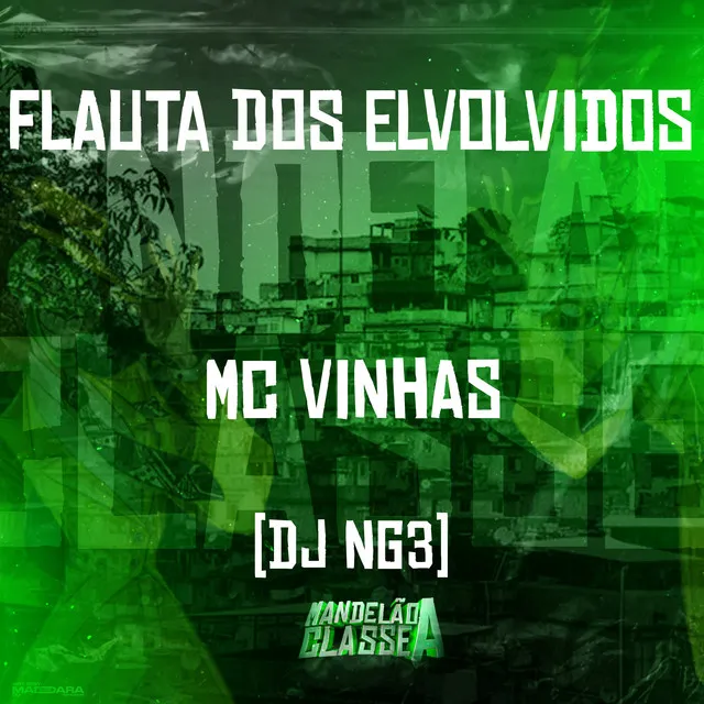 Flauta dos Elvolvidos