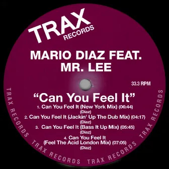 Can You Feel It by Mario Diaz