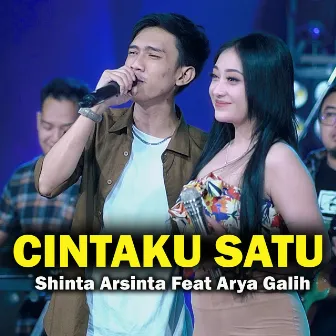 Cintaku Satu by Shinta Arshinta