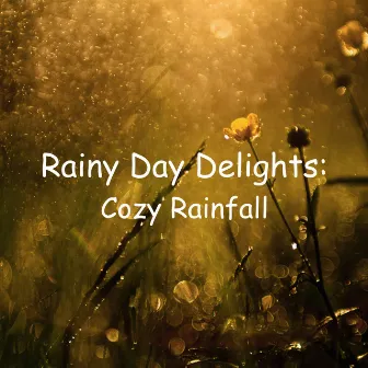 Rainy Day Delights: Cozy Rainfall by Let It Rain