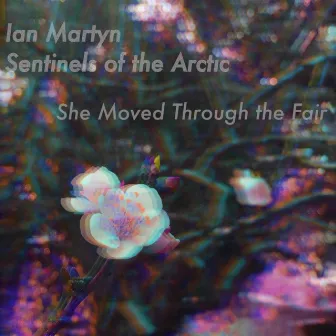 She Moved Through the Fair by Sentinels of the Arctic