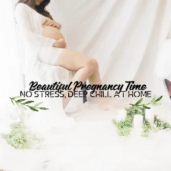 Beautiful Pregnancy Time : Safety, No Stress, Deep Chill at Home by Sleeping Lullabies & Pregnancy Stimulate Project