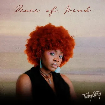 Peace of Mind (Remixes) by Toby Grey