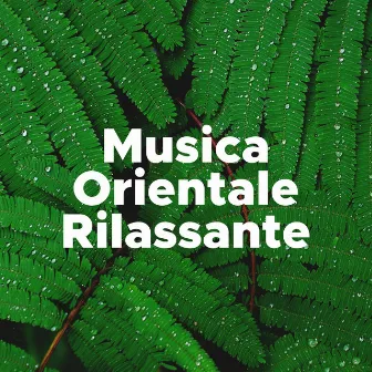 Musica Orientale Rilassante by Personal Believer