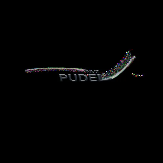 Pudel