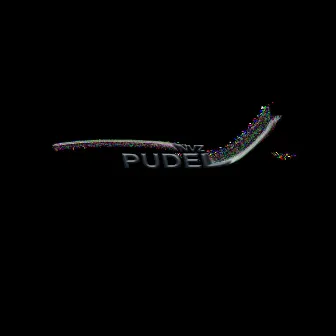 Pudel by zaabron