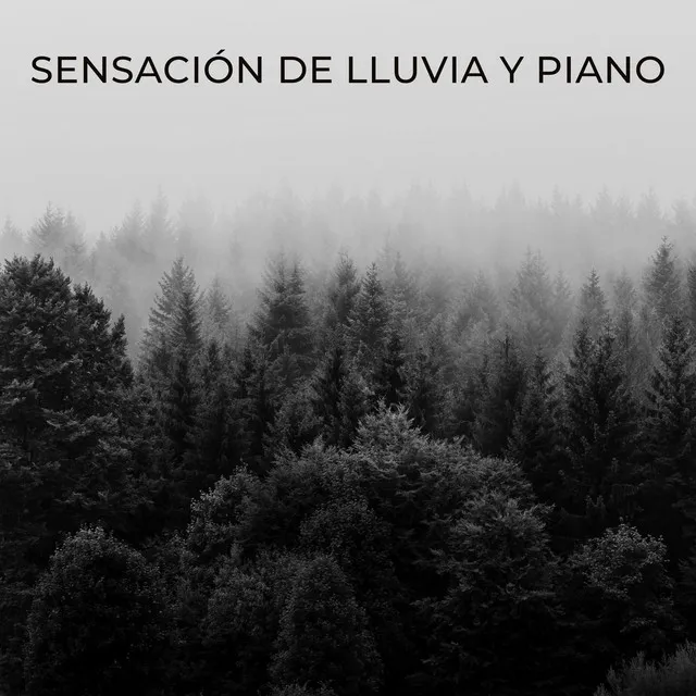 Sensación De Lluvia Y Piano