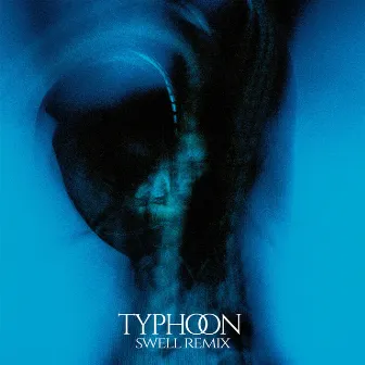 Typhoon (Swell Remixes) by ZK king