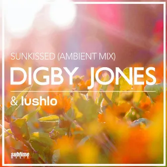 Sunkissed (Ambient Mix) by Lushlo