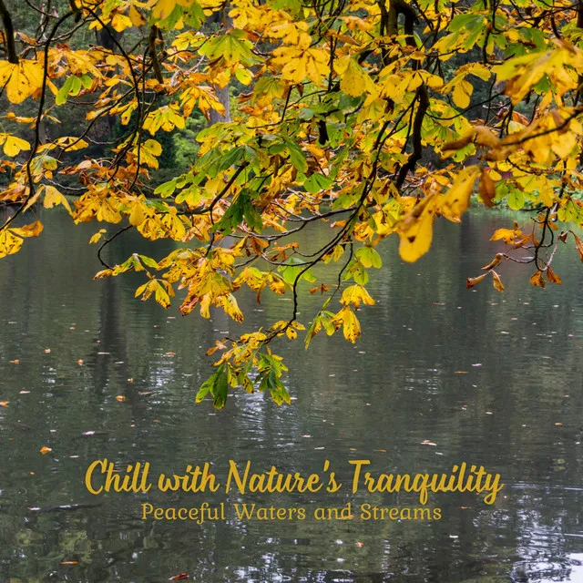 Chill with Nature's Tranquility: Peaceful Waters and Streams