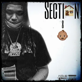 Section 8 Baby by Lil Quen