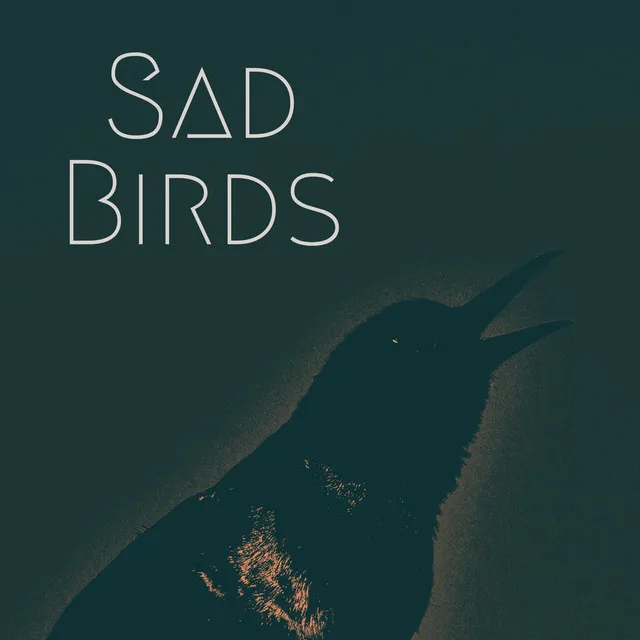 Sad Birds