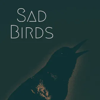 Sad Birds by Valentina Manysheva