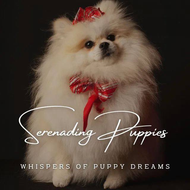 Serenade for Joyful Pups