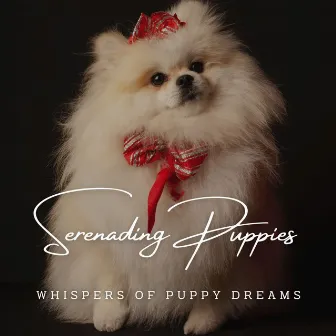 Piano Paws and Playfulness: Serenading Puppies by Twilight Piano