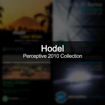 Perceptive 2010 Collection by Hodel