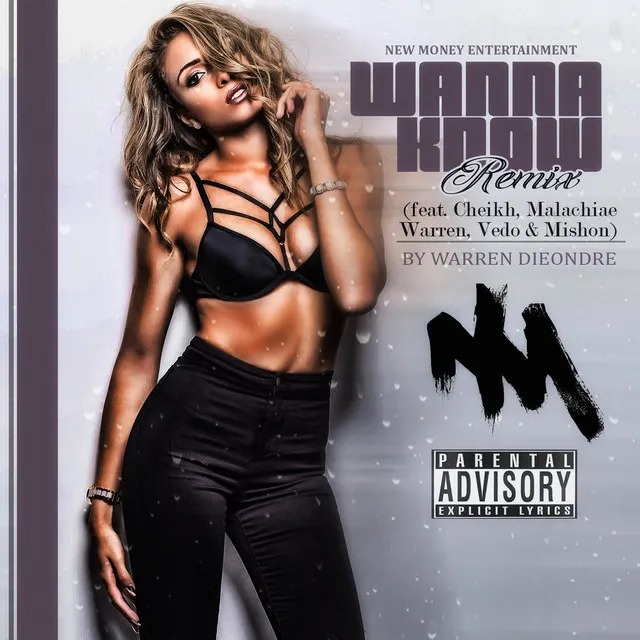 Wanna Know Remix (feat. Cheikh, Malachiae Warren, Vedo & Mishon)