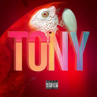 Tony by Fatman Bigboistatus