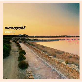 Salines by Monopohl