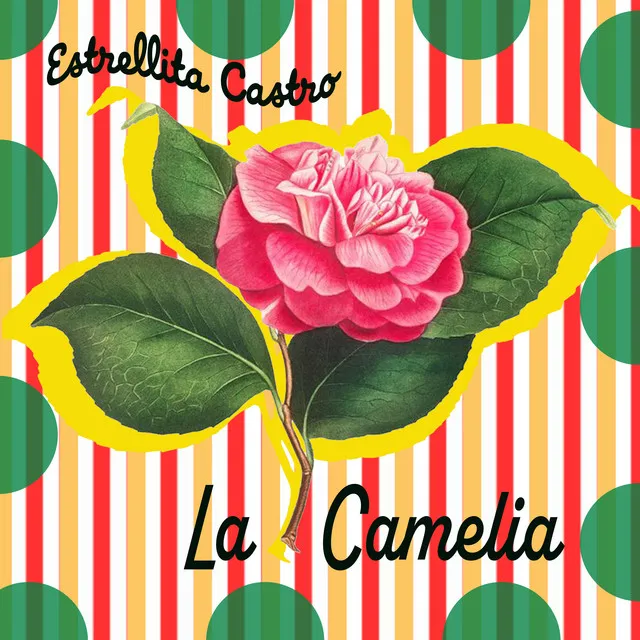 La Camelia - Flor del Flamenco