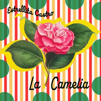 La Camelia - Flor del Flamenco by Estrellita Castro