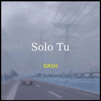 Solo Tu by Dash