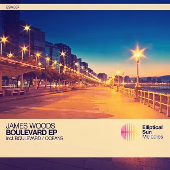 Boulevard by James Woods