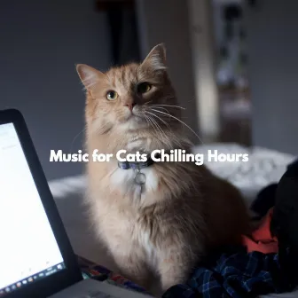 Music for Cats Chilling Hours by Unknown Artist