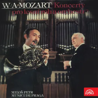 Koncerty pro lesní roh a orchestr by Musici de Praga