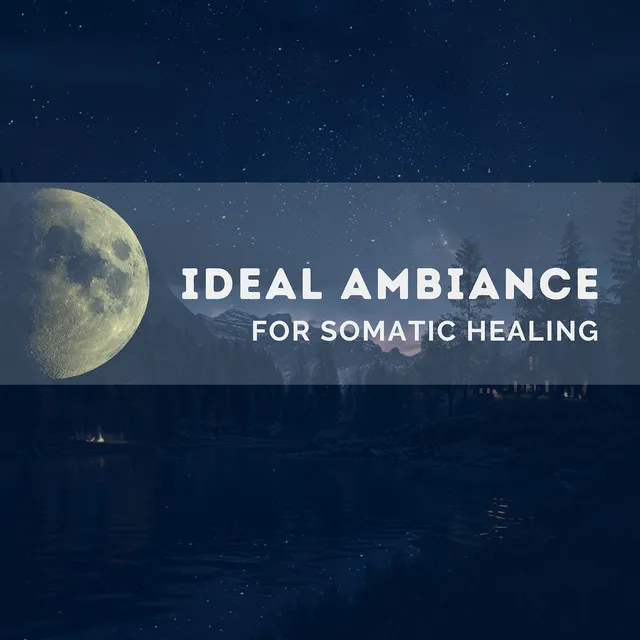 Ideal Ambiance for Somatic Healing