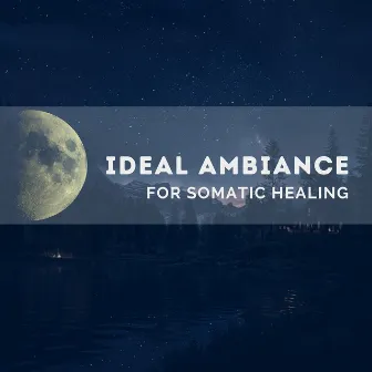 Ideal Ambiance for Somatic Healing by Surrounding Life