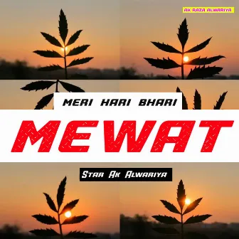 Meri Hari Bhari Mewat by Star Ak Alwariya