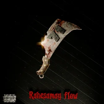 Rahesamay Flow by Soultrip Beats