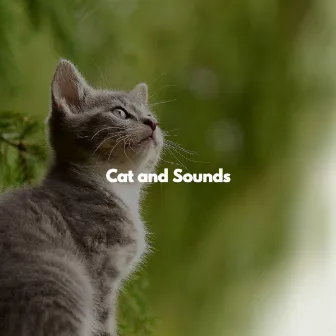 Cat and Sounds by Mellow Jazz Beats