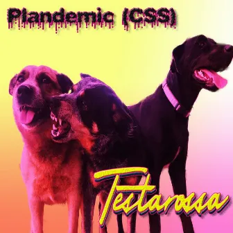 Plandemic (CSS) by Testarossa