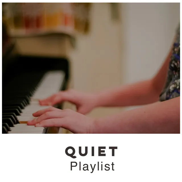 Quiet Study Playlist