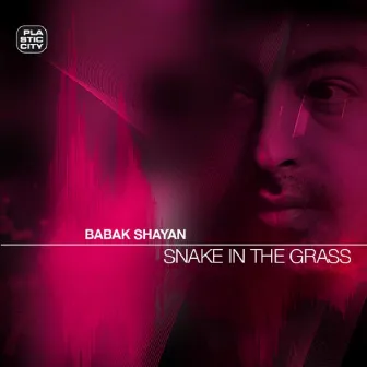 Snake In The Grass by Babak Shayan