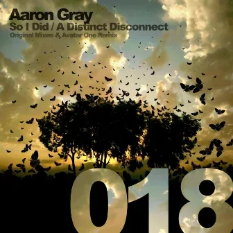 So I Did & A Distinct Disconnect by Aaron Gray