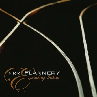 Evening Train by Mick Flannery