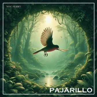 Pajarillo by mac perry