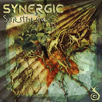 Synesthesia by Synergic