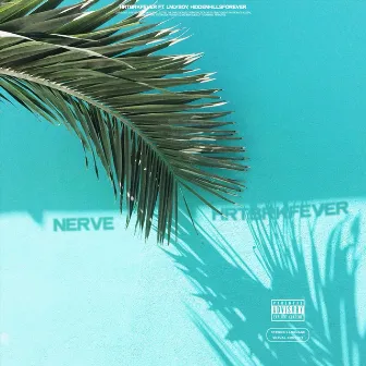 Nerve / Numb Again by Hrtbrkfever