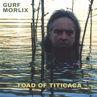 Toad of Titicaca by Gurf Morlix