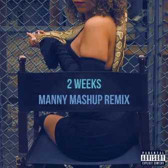 2 Weeks (Manny Mashup Remix) by Manny Mashup